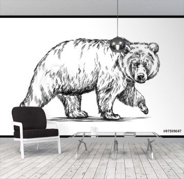 Picture of black and white engrave isolated vector bear